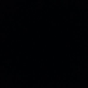 Meet your Posher, Ariel